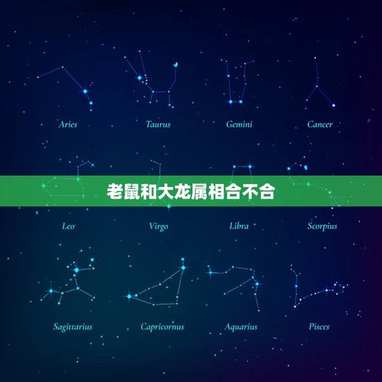 老鼠和大龙属相合不合，生肖属龙跟属鼠相配吗？