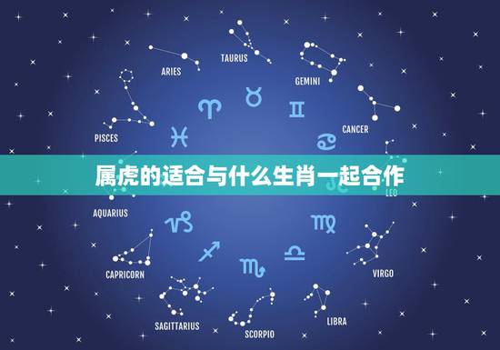 属虎的适合与什么生肖一起合作,属虎和什么生肖最合 属虎的适合与什么生肖一起合作,属虎和什么生肖最合
