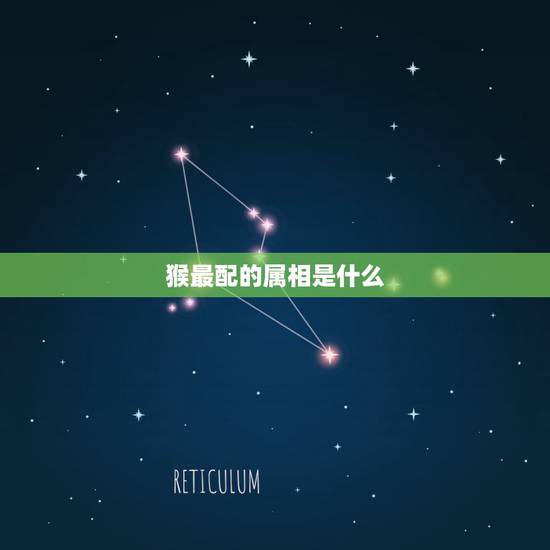 猴最配的属相是什么,属相猴与什么属相相合 猴最配的属相是什么,属相猴与什么属相相合