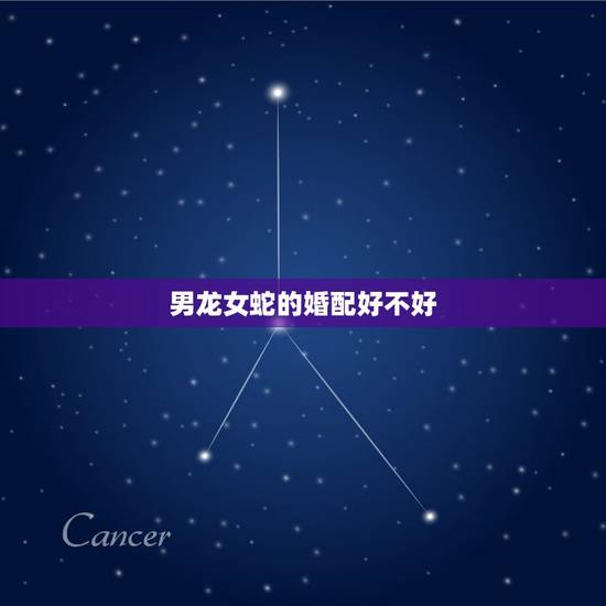 男龙女蛇的婚配好不好，男龙女蛇，从八字上配吗