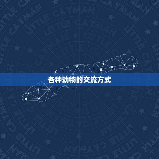 各种动物的交流方式,各种动物的图片 各种动物的交流方式,各种动物的图片