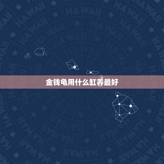 金钱龟用什么缸养最好,在街上买的小金钱龟,应该干养还是放水里养? 金钱龟用什么缸养最好,在街上买的小金钱龟,应该干养还是放水里养?