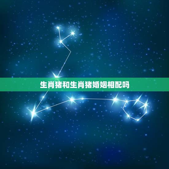 生肖猪和生肖猪婚姻相配吗,十二生肖婚姻配对表相合相克 生肖猪和生肖猪婚姻相配吗,十二生肖婚姻配对表相合相克