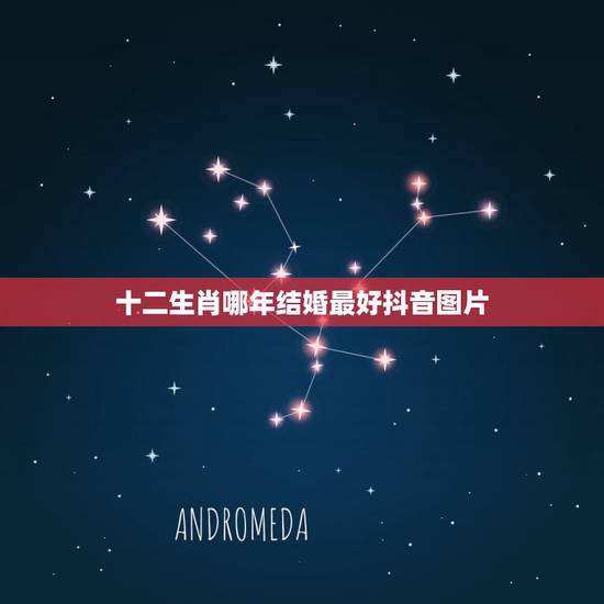 十二生肖哪年结婚最好抖音图片，十二生肖在哪个年龄结婚最好