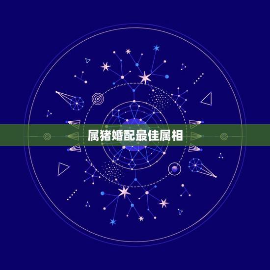 属猪婚配最佳属相,属猪的跟什么属相相配好,跟什么属相不相配? 属猪婚配最佳属相,属猪的跟什么属相相配好,跟什么属相不相配?