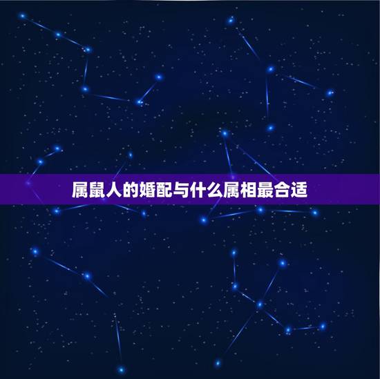 属鼠人的婚配与什么属相最合适，属牛的属相婚配表