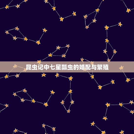 昆虫记中七星瓢虫的婚配与繁殖,在哪里可以抓到七星瓢虫怎么养怎么分辨公母 昆虫记中七星瓢虫的婚配与繁殖,在哪里可以抓到七星瓢虫怎么养怎么分辨公母