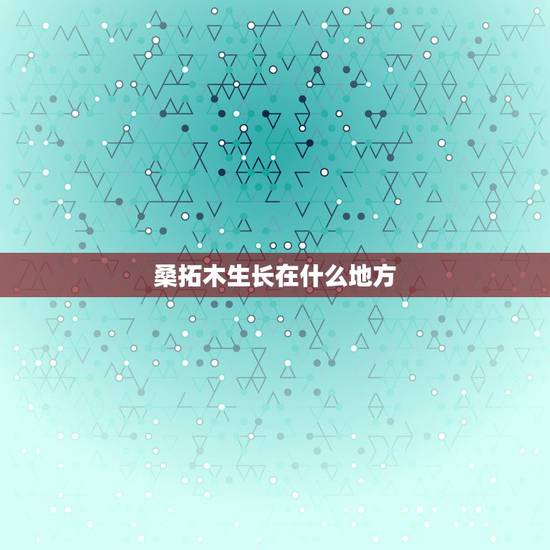 桑拓木生长在什么地方，1973年10月6日生桑拓木命运