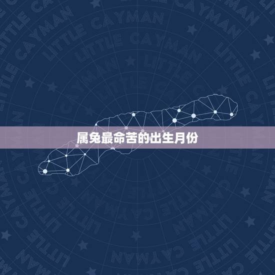 属兔最命苦的出生月份，属兔人几日出生大富大贵