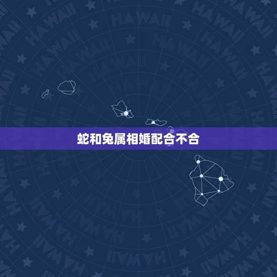 蛇和兔属相婚配合不合，蛇跟兔子属相合不合