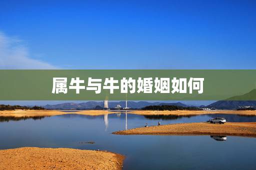 属牛与牛的婚姻如何，属牛跟属牛结婚好不好