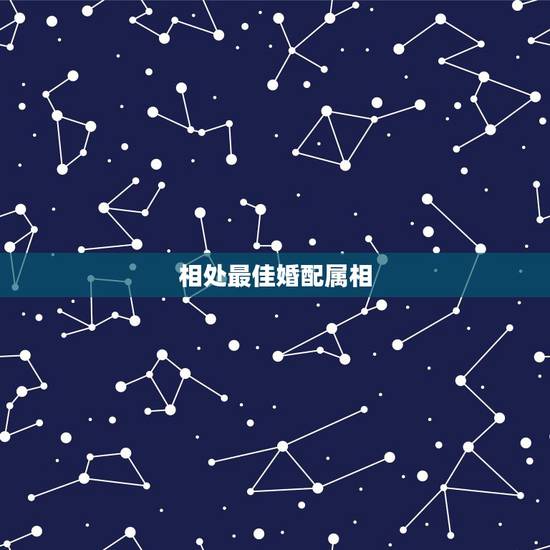 相处最佳婚配属相,12生肖最佳配对 相处最佳婚配属相,12生肖最佳配对