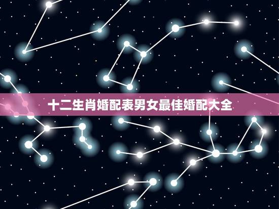 十二生肖婚配表男女最佳婚配大全，最佳婚配属相