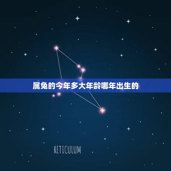 属兔的今年多大年龄哪年出生的,2021年属兔的多大年龄? 属兔的今年多大年龄哪年出生的,2021年属兔的多大年龄?