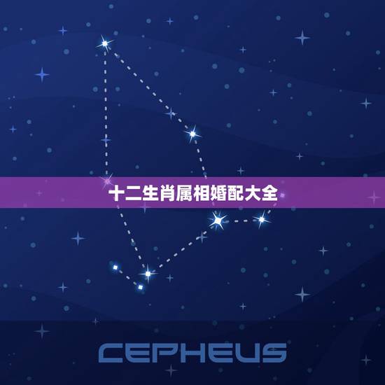 十二生肖属相婚配大全，十二生肖婚配