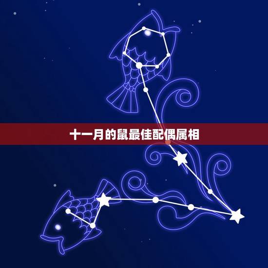 十一月的鼠最佳配偶属相，十二生肖最佳配偶