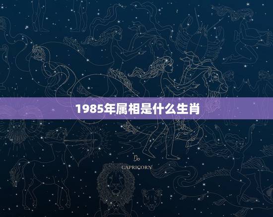 1985年属相是什么生肖，85年属牛的和什么属相最配