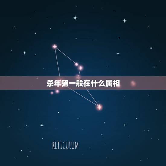 杀年猪一般在什么属相,在事业上属猪的和什么属相最和? 杀年猪一般在什么属相,在事业上属猪的和什么属相最和?