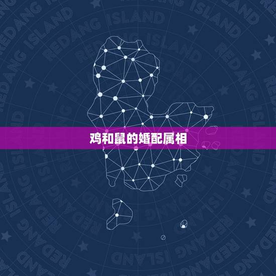鸡和鼠的婚配属相，属鼠的和属鸡的配吗 详细�0�3