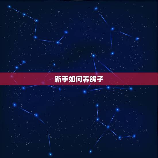 新手如何养鸽子,新手养鸽子 两只鸽子 怎么开家 新手如何养鸽子,新手养鸽子 两只鸽子 怎么开家