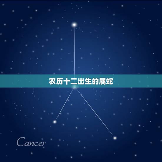 农历十二出生的属蛇，农历12月的蛇命运怎么样