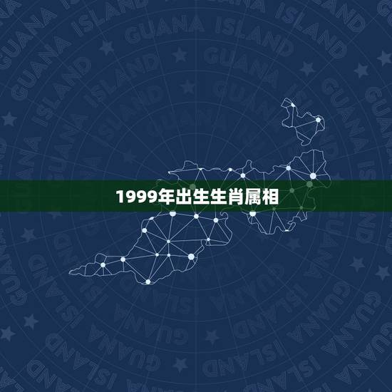 1999年出生生肖属相，1999年属什么生肖配对