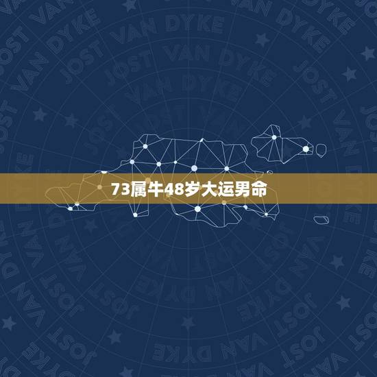 73属牛48岁大运男命，1973年属牛48岁2021命运