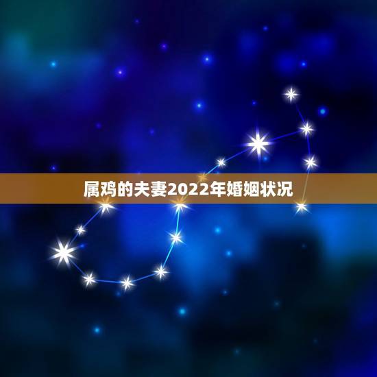 属鸡的夫妻2022年婚姻状况，2022 年属鸡的桃花位