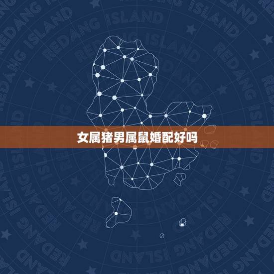 女属猪男属鼠婚配好吗，女猪和男鼠相配婚姻如何