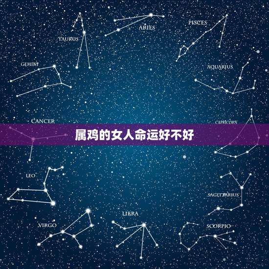 属鸡的女人命运好不好,属鸡女一辈子的婚姻状况 属鸡的女人命运好不好,属鸡女一辈子的婚姻状况