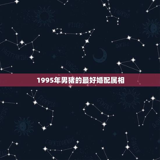 1995年男猪的最好婚配属相，95年属猪男的和什么属相最配 1995年