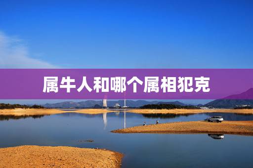属牛人和哪个属相犯克,属牛和什么属相的子女相冲 属牛人和哪个属相犯克,属牛和什么属相的子女相冲