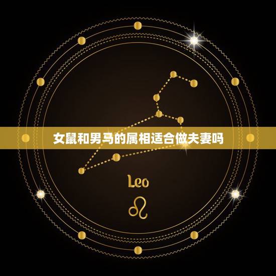 女鼠和男马的属相适合做夫妻吗,属鼠和属马的能结为夫妻吗 女鼠和男马的属相适合做夫妻吗,属鼠和属马的能结为夫妻吗