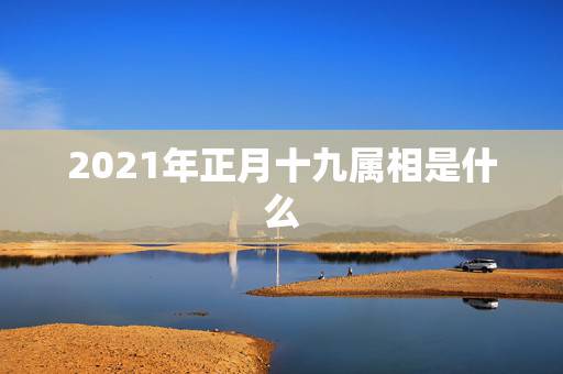2021年正月十九属相是什么,2021年属什么生肖? 2021年正月十九属相是什么,2021年属什么生肖?