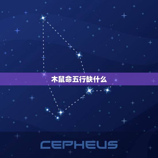 木鼠命五行缺什么，1984年属鼠五行属什么命