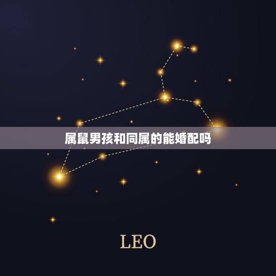 属鼠男孩和同属的能婚配吗，属相婚配：男属兔和女属鼠相配吗