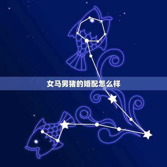 女马男猪的婚配怎么样，女马男猪婚姻会永久吗