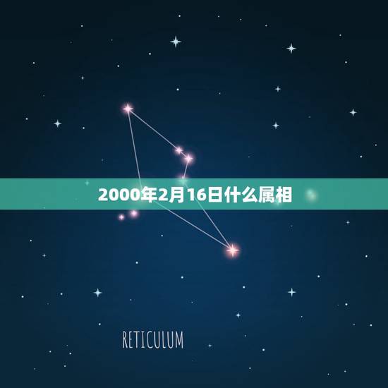 2000年2月16日什么属相，2000年阳历2月16日，9点出生的属龙