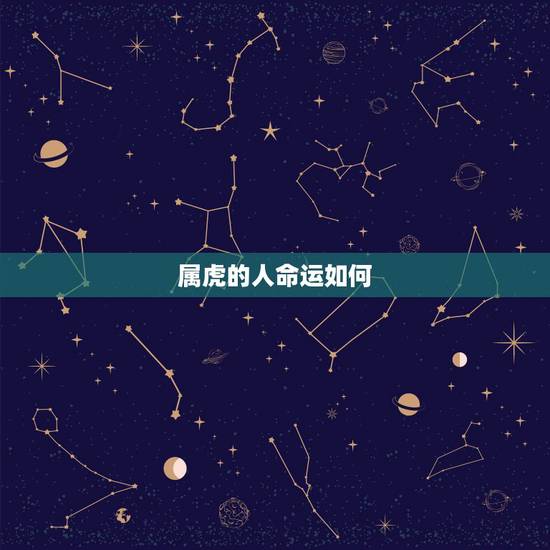 属虎的人命运如何,属虎 86年12月25日出生的人姻缘和个人运势怎么样 属虎的人命运如何,属虎 86年12月25日出生的人姻缘和个人运势怎么样