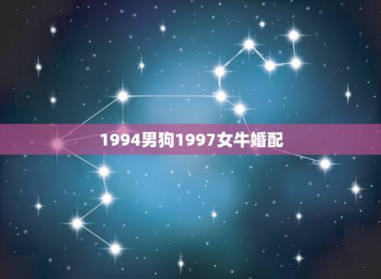 1994男狗1997女牛婚配，1994年男属狗和1997年女属牛婚配合