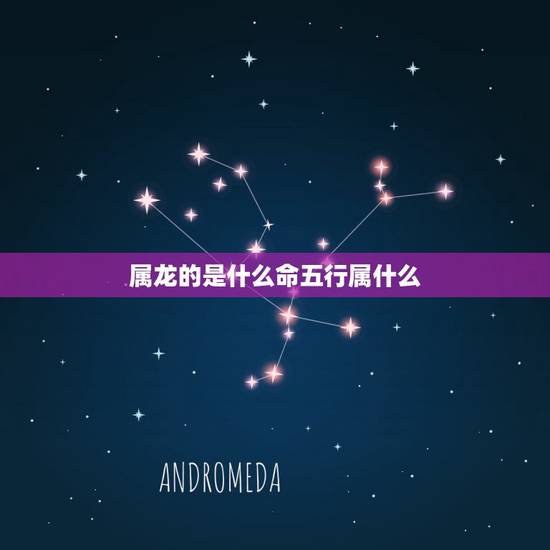属龙的是什么命五行属什么，2024年的龙是什么命五行属什么