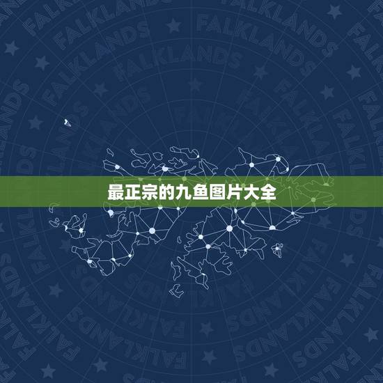 最正宗的九鱼图片大全,哪款好 九鱼图怎么样 求大神帮忙 最正宗的九鱼图片大全,哪款好 九鱼图怎么样 求大神帮忙