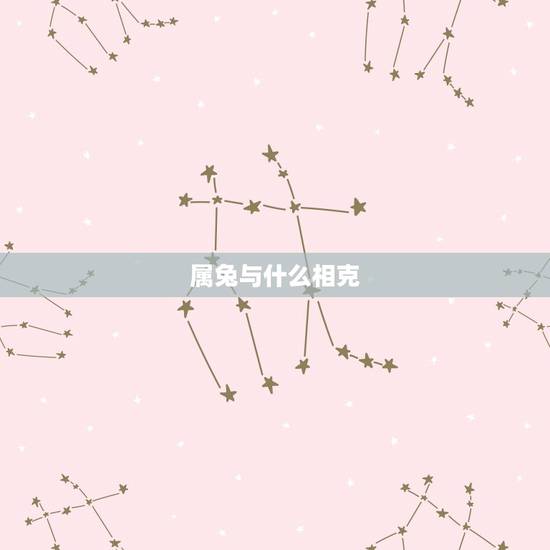 属兔与什么相克,属兔忌配什么生肖 属兔与什么相克,属兔忌配什么生肖