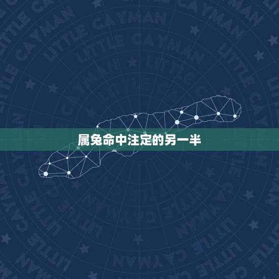 属兔命中注定的另一半 2022年属兔大忌 属兔命中注定的另一半 2022年属兔大忌