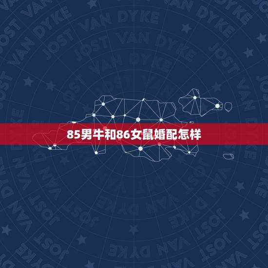 85男牛和86女鼠婚配怎样，85年属牛男和86年属虎女相配吗？
