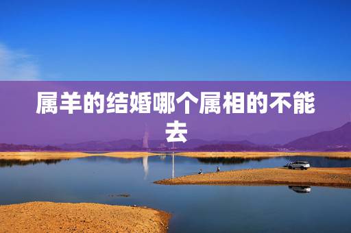 属羊的结婚哪个属相的不能去,属羊的结婚什么属相不能送嫁? 属羊的结婚哪个属相的不能去,属羊的结婚什么属相不能送嫁?