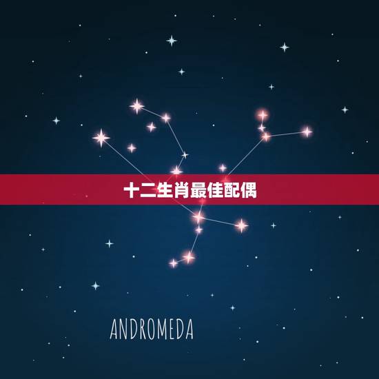 十二生肖最佳配偶，十二生肖婚姻配偶怎么才最好