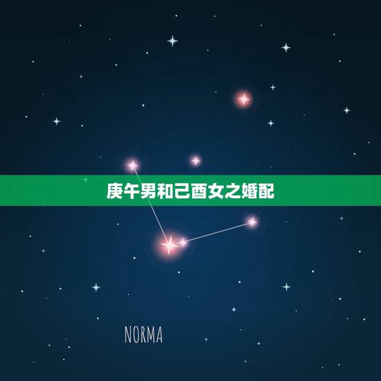 庚午男和己酉女之婚配,丙辰 丁酉 己丑 庚午和甲子乙亥乙丑丁亥的婚姻相 庚午男和己酉女之婚配,丙辰 丁酉 己丑 庚午和甲子乙亥乙丑丁亥的婚姻相
