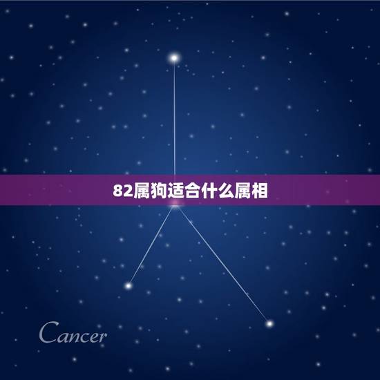 82属狗适合什么属相，属鸡和属狗的适合做夫妻吗