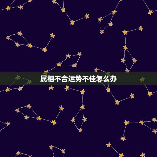 属相不合运势不佳怎么办,1986年属虎2023年运势及运程 属相不合运势不佳怎么办,1986年属虎2023年运势及运程